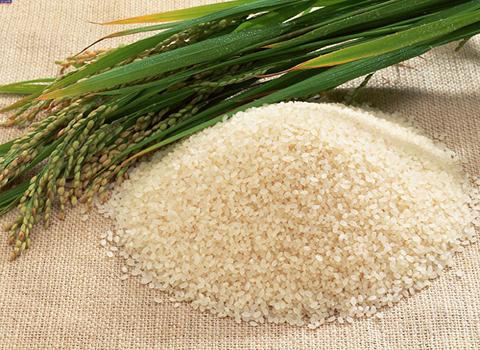 قیمت برنج نیم دانه شوشتر + خرید باور نکردنی